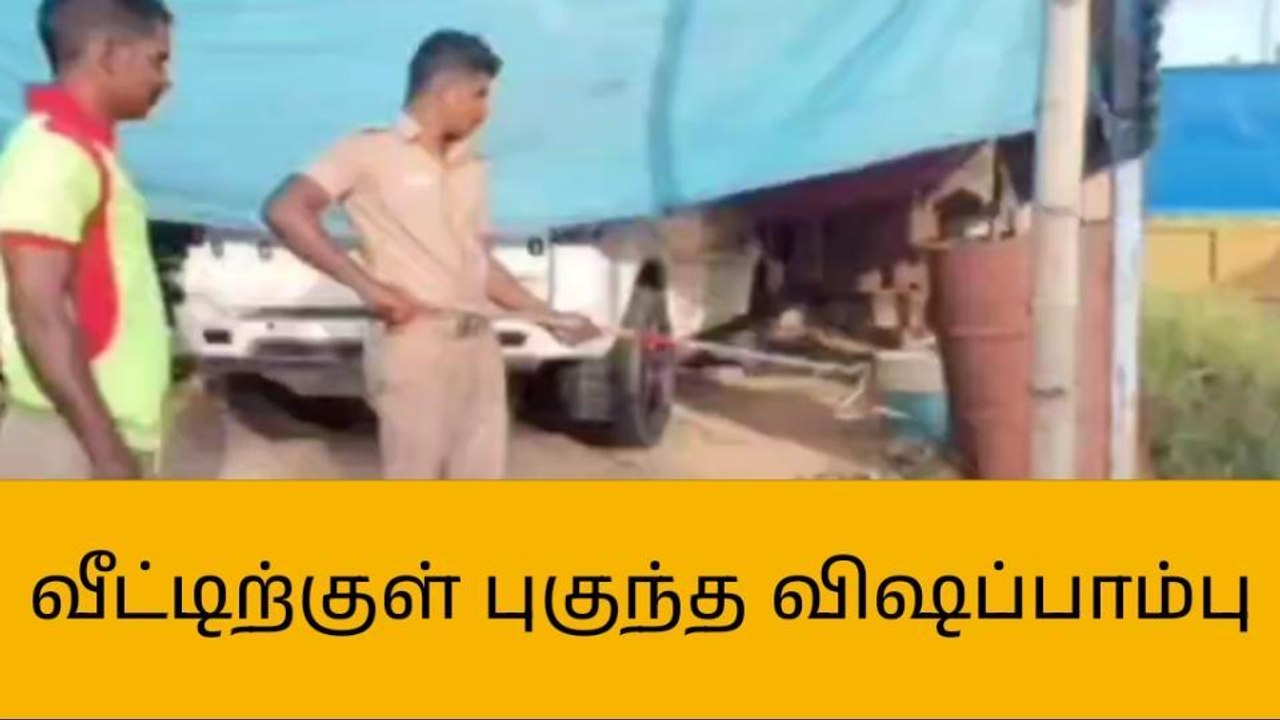 விராலிமலை: வீட்டிற்குள் புகுந்த பாம்பு-மீட்ட தீயணைப்பு துறையினர்!