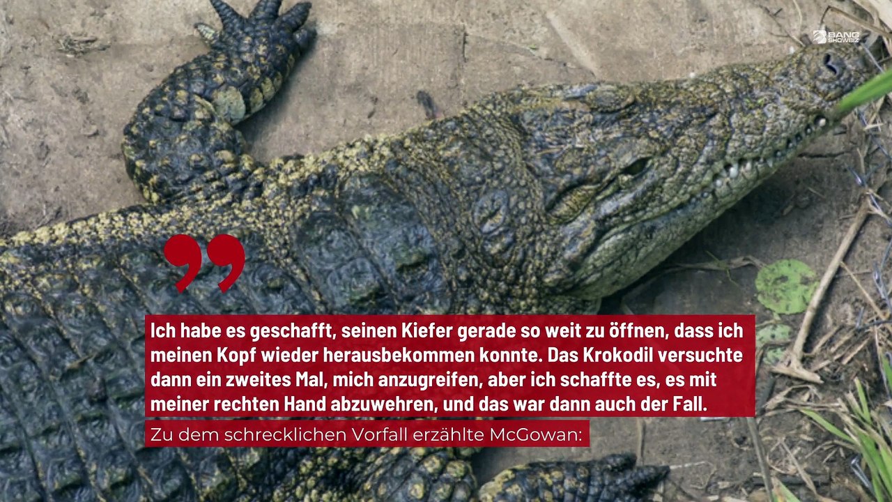 Mann gelingt es, seinen Kopf aus dem Rachen eines Krokodils zu ziehen