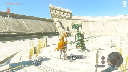 Zelda Tears of the Kingdom : Vous avez sûrement loupé cette quête cachée sur l'île céleste du Prélude !