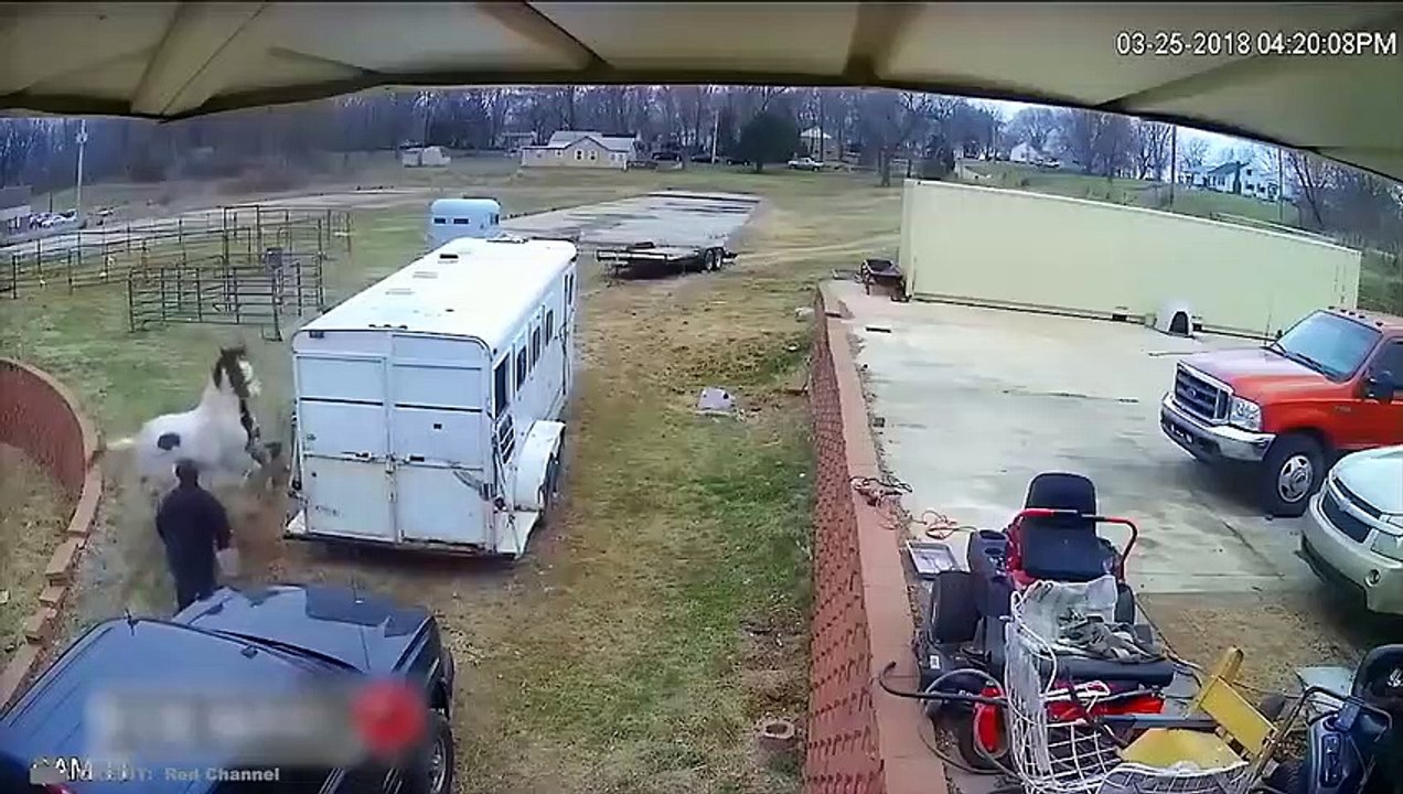 Die Tiere Haben Sich Mit Dem Falschen Gegner Angelegt! (2)