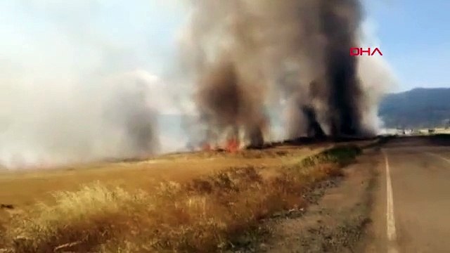 Incendie dans un champ d'orge et de blé à Gaziantep