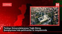 Türkiye Üniversitelerarası Yağlı Güreş Şampiyonası'nda pehlivanlar er meydanında
