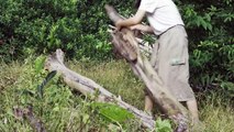 How to DIY Wood Plant Stand  DIY My Secret Garden