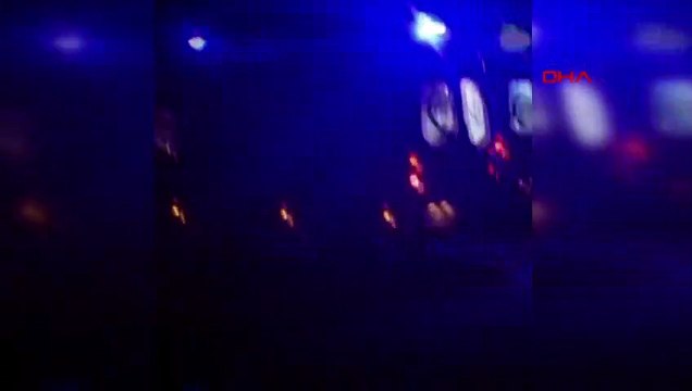 Domuzlara çarpan otomobilden fırlayan kadın, başka bir aracın altında kalarak hayatını kaybetti
