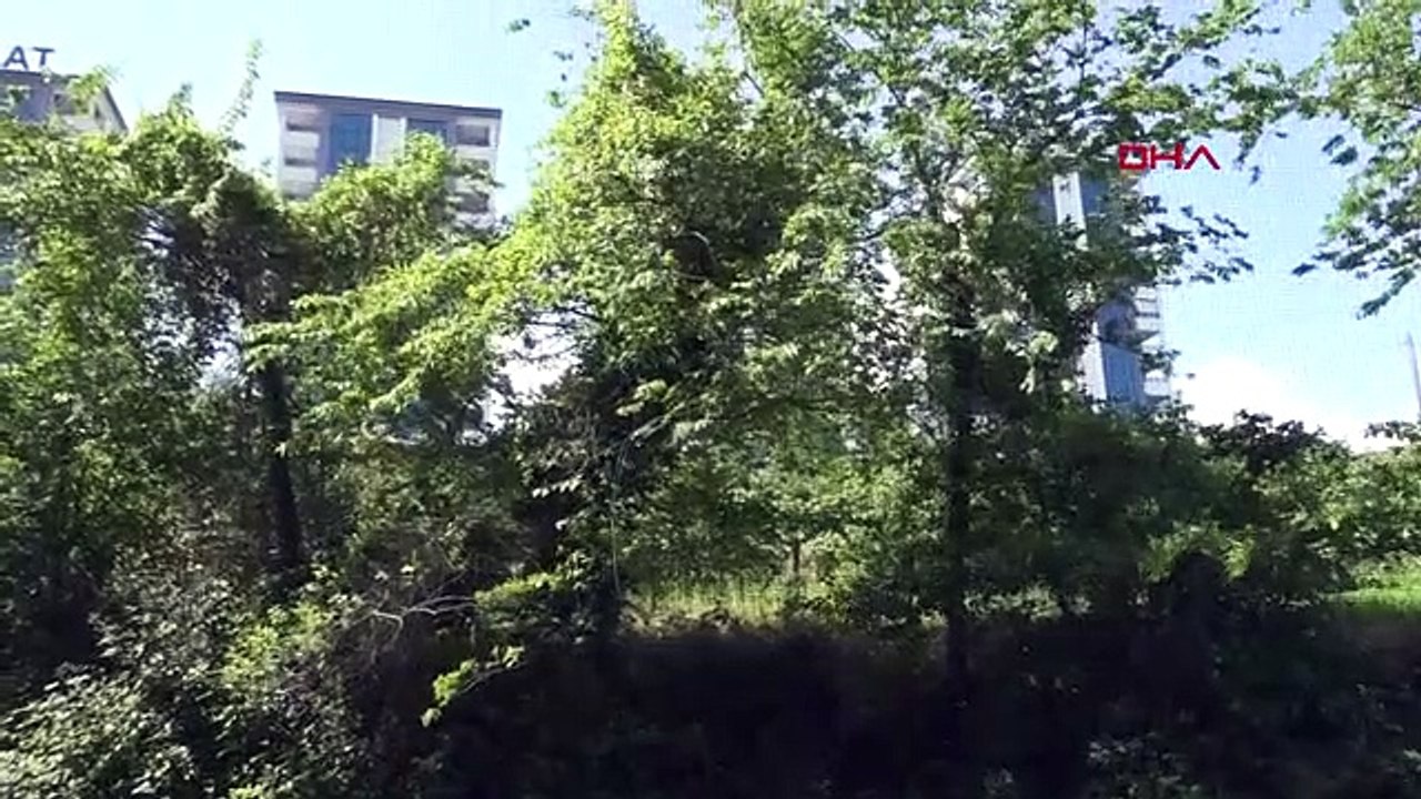 Pendant les célébrations électorales, la balle du pistolet a touché la crèche