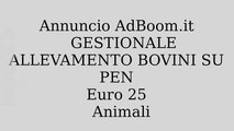 GESTIONALE ALLEVAMENTO BOVINI SU PEN