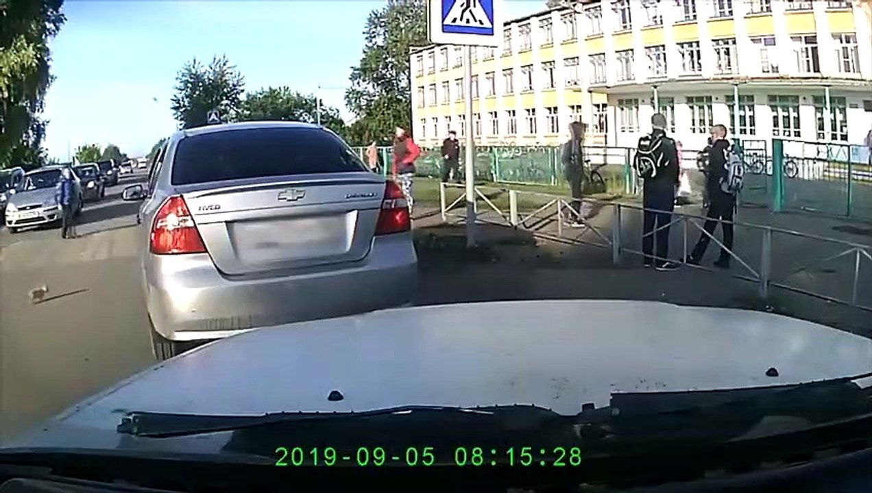 Tiere Die Menschen Um Hilfe Bitten! (6)