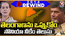 2014 Rewind : Chandra Babu Naidu About Separate State | Telangana Formation | V6 News