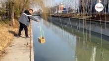 Man ziet iets in een rivier en de wanhopige reddingsmissie begint (video)