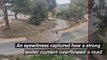 Eyewitness Captures Moment Floodwater Blocks Road in Spain Amid Rain Warning