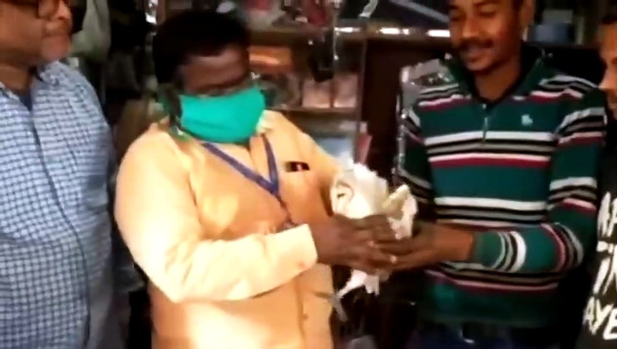 Tiere Die Menschen Um Hilfe Bitten!