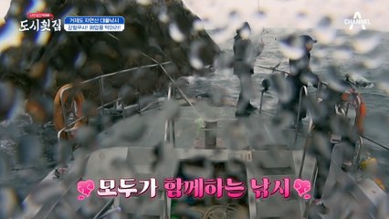 무려 8시간 만에 찾아온 대물급 입질? 강철무사는 횟감 조달에 성공할 수 있을까!