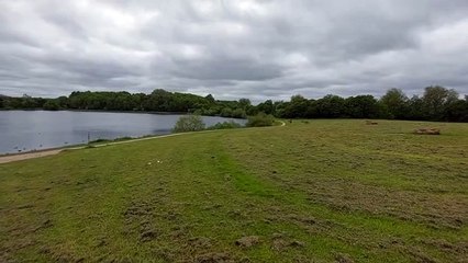 Tragic Discovery at Hetton Lake After Man's Open Water Swim Gone Wrong 🚨