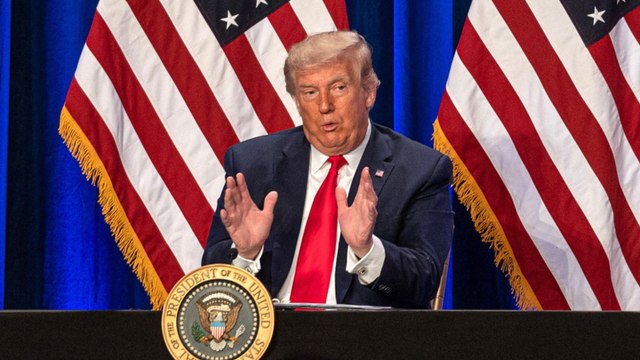 ¿Puede Donald Trump poner fin a la ciudadanía estadounidense a hijos de inmigrantes ilegales de llegar a la Presidencia?