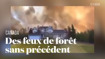 Au Canada, la Nouvelle-Ecosse fait face à des feux de forêt sans précédent