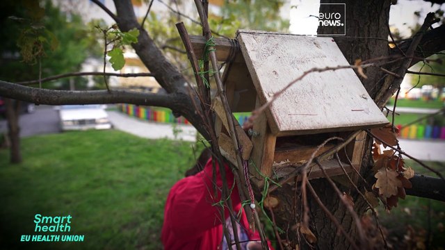 Болгария: как сделать лекарства более доступными для населения?