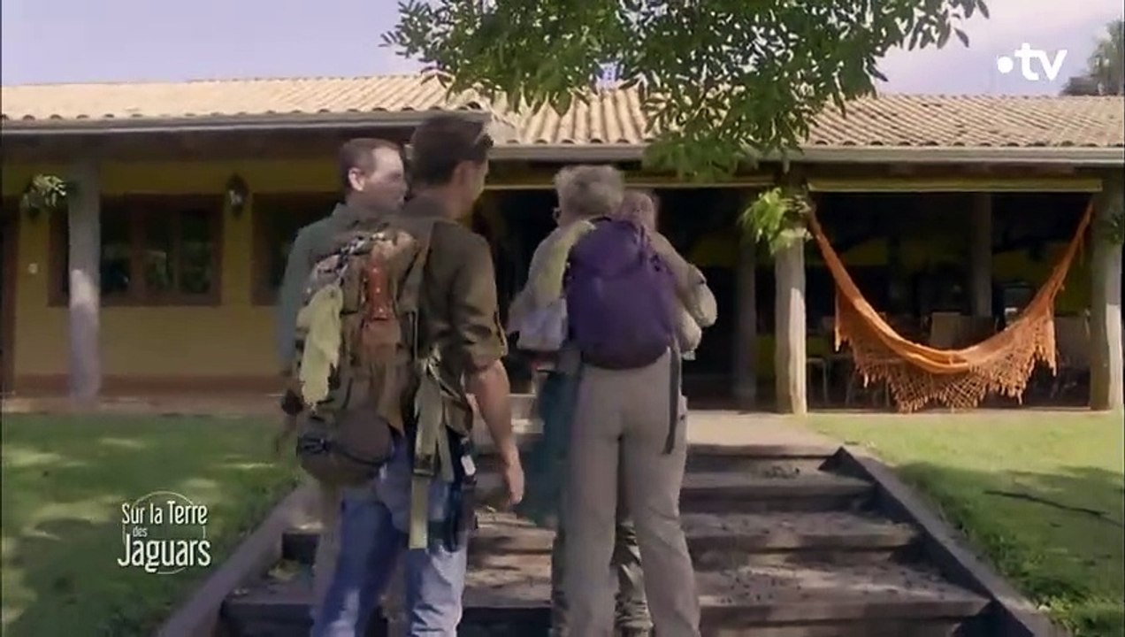 Ces bébés jaguars orphelins sont nourris au biberon - ZAPPING SAUVAGE