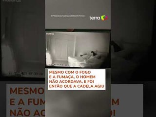 Cachorra acorda tutor para 'avisar' de incêndio, e cena viraliza