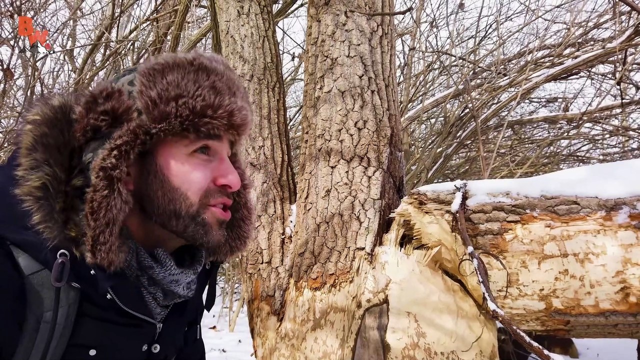Winter Wilderness Adventure!