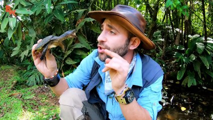 Snapping Turtle BITES Me.. AGAIN!