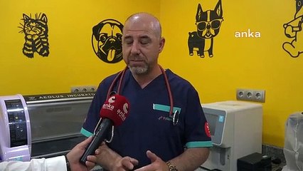 Avertissement d'application de puce pour les animaux de compagnie à Aksaray