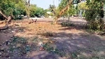 टाउनशिप में काटे जा रहे पेड़, आप ने की शिकायत