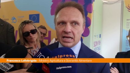 Lollobrigida "Non riteniamo idoneo abolire totalmente uso plastica"