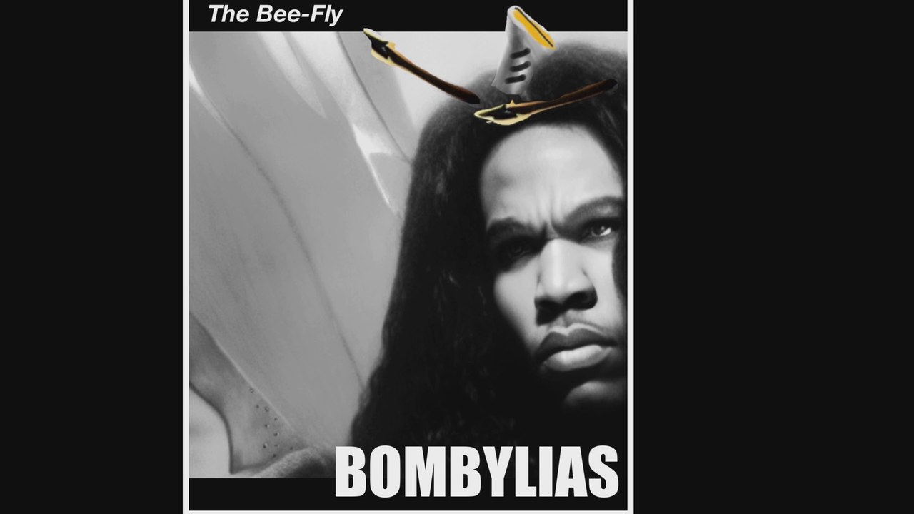 The Bee-Fly 2