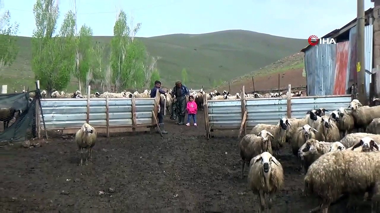 2023 Quel est le prix du sacrifice ? Combien coûte le sacrifice des sacrifices ?