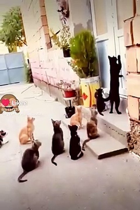 Romantic video