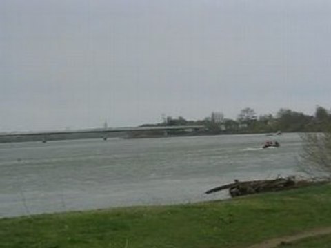 Sainte Luce sur Loire : île Clémentine (3)
