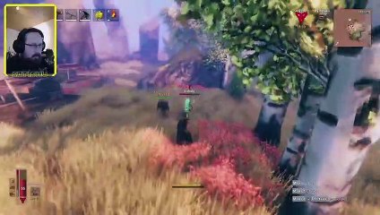 Abenteuer gefunden. Valheim #315