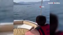 Muğla'da 'balina' sürprizi! Görenler şaşkınlığını gizleyemedi, o anlar kamerada...