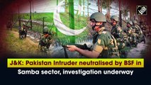 J&K: Pakistan Intruder neutralised by BSF in Samba sector, investigation underway
