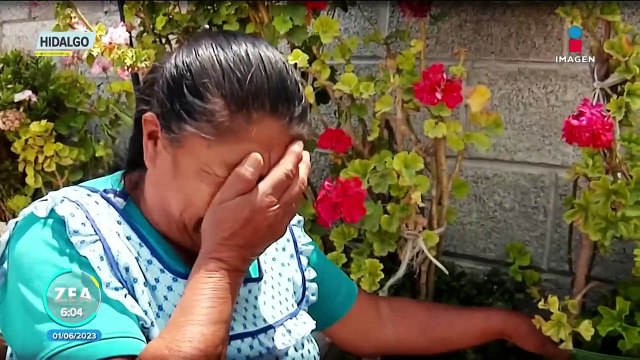 Gorila suelto entre Hidalgo y el Estado de México preocupa a vecinos