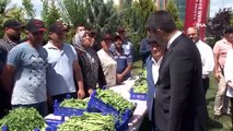 Les produits issus de l'agriculture sous serre à Edirne trouveront des acheteurs sur le marché d'Istanbul.