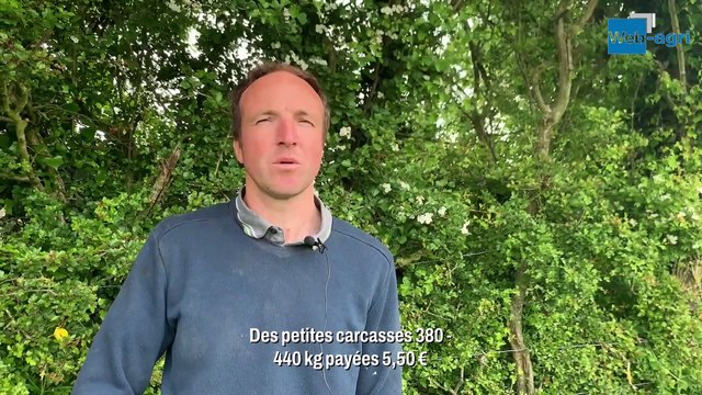 Chez G. Halipré : « Je sors des petites carcasses pour Lidl »