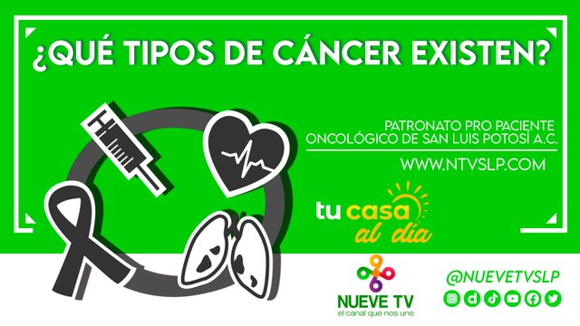 ¿Qué tipos de cáncer existen?