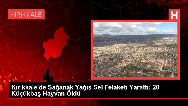 Kırıkkale'de Sağanak Yağış Sel Felaketi Yarattı: 20 Küçükbaş Hayvan Öldü