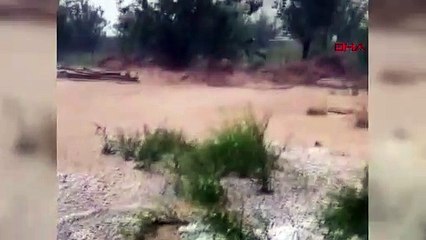 De fortes pluies ont causé une inondation à Kırıkkale : 20 petits animaux sont morts