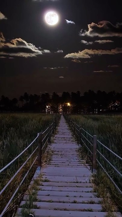 #nature