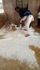 मूसलाधार बरसात के साथ हुई ओलावृष्टि