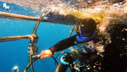 Shark Cage Submarine for Great Whites!