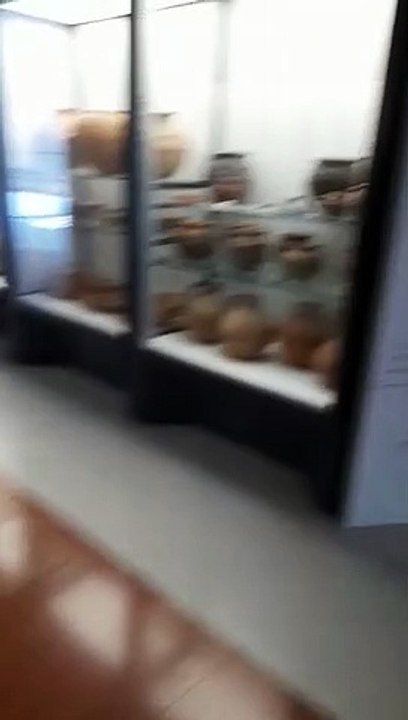 VID-20230507-WA0075