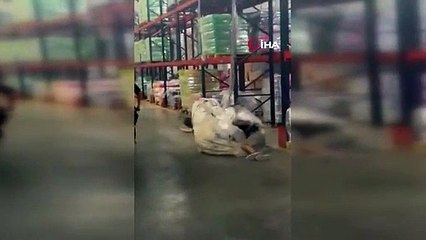 Un homme sautant d'une hauteur de 12 mètres lui a sauvé la vie grâce à un sac en plastique