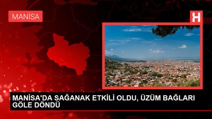 MANİSA'DA SAĞANAK ETKİLİ OLDU, ÜZÜM BAĞLARI GÖLE DÖNDÜ