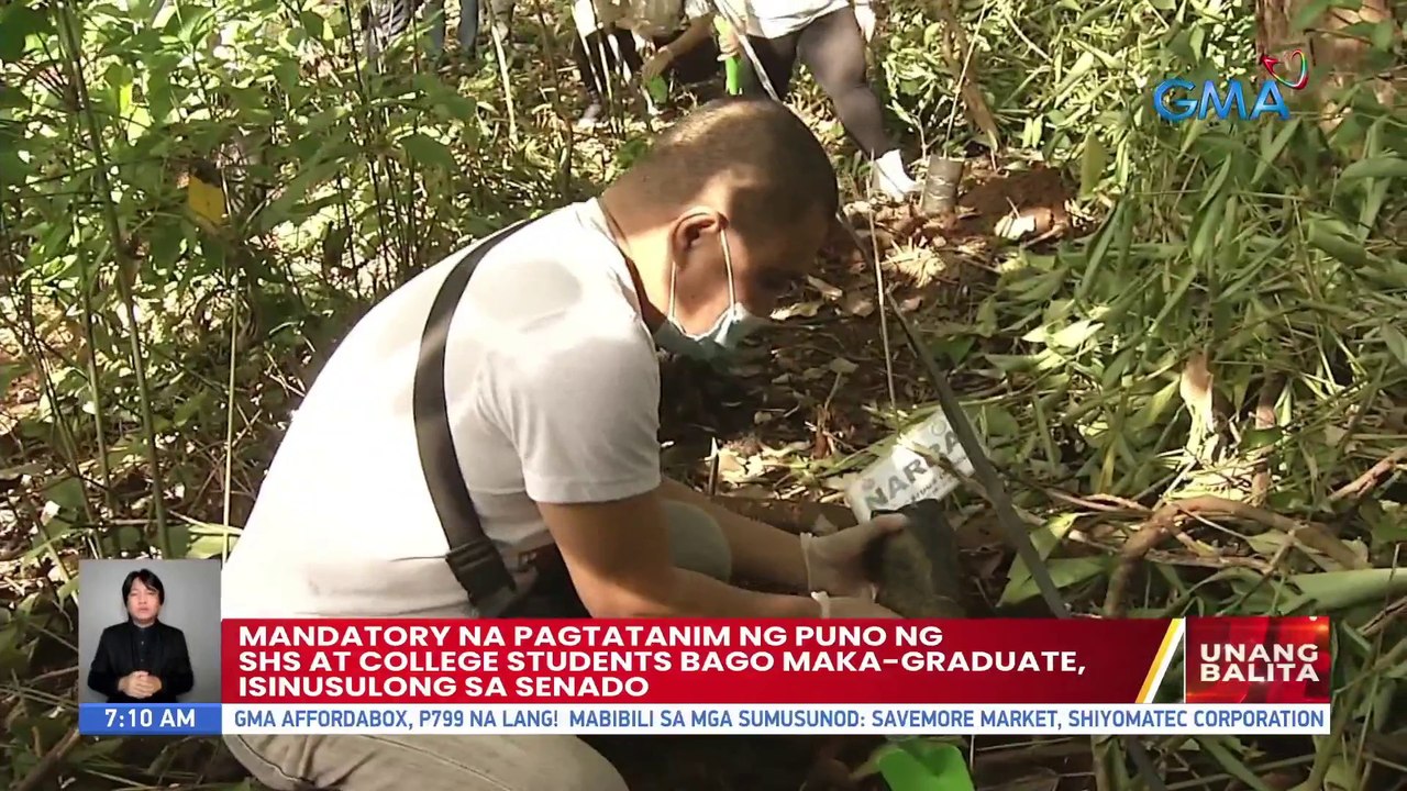 Mandatory na pagtatanim ng puno ng SHS at colle...