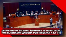 ¡VEAN! ¡El hermano de Silvano Aureoles es humillado por el senador Zamora por insultar a la 4T!