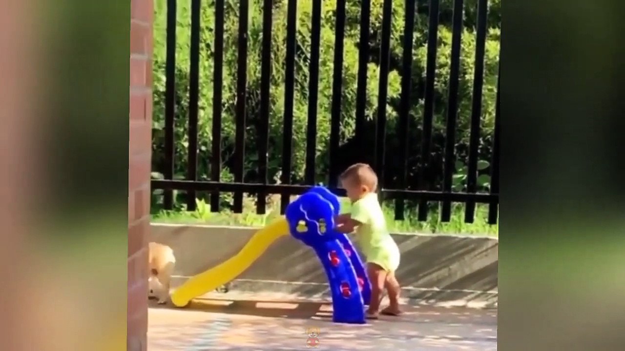 Funny Animal Videos 2023 -Funniest Cats and Dogs Videos - Try Not To Laugh Challenge