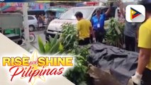 8-anyos batang babae, natagpuang patay sa Lucena City; person of interest, natunton sa tulong ng CCTV